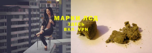 мяу мяу мука Новозыбков