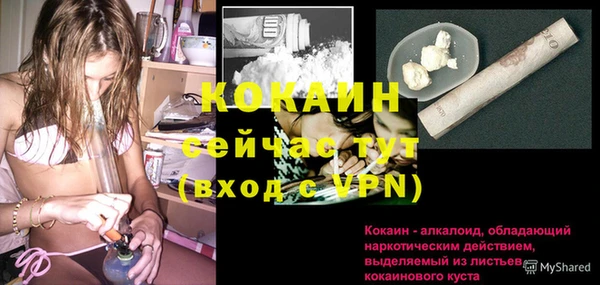 мяу мяу мука Новозыбков