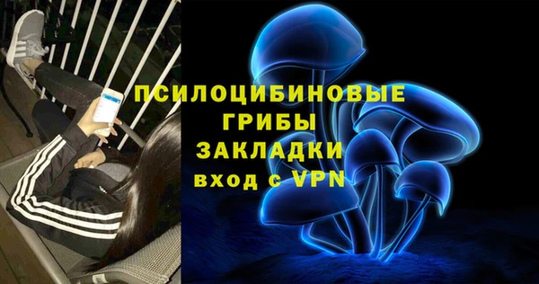 мяу мяу мука Новозыбков