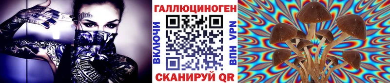 купить   Ртищево  Галлюциногенные грибы GOLDEN TEACHER 