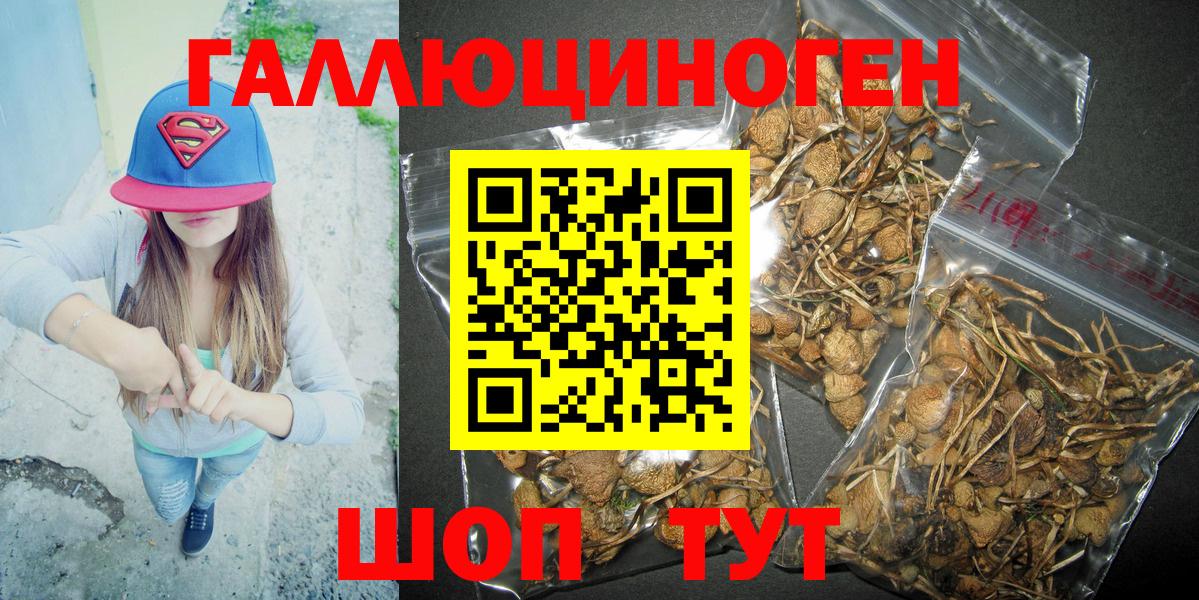 Галлюциногенные грибы мухоморы  Псилоцибиновые грибы Psilocybe  Вход с VPN  Ртищево 